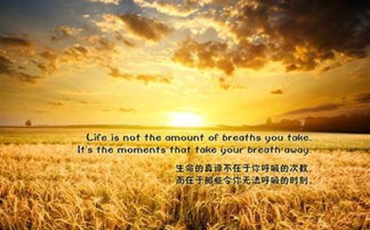 青春励志名言英语句子精选