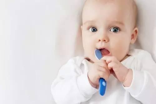 婴幼儿辅食添加的顺序