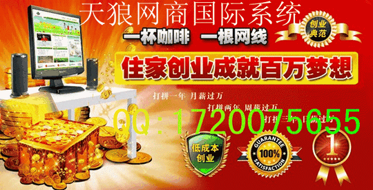 一根网线,一台电脑在家创业
