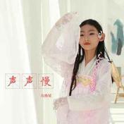 声声慢(与非门)