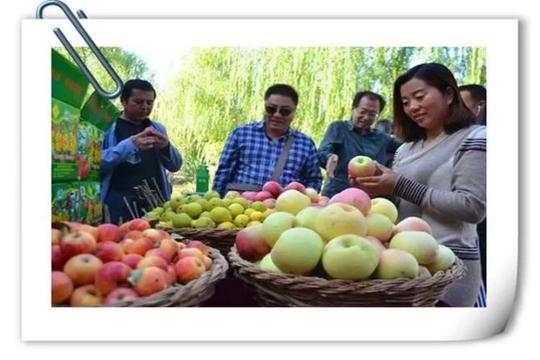 新知达人,40岁的人打工10年，积攒了30万，想回农村创业做什么好?
