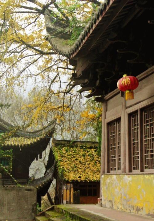 菩提本无树,明镜亦非台.本来无一物,何处惹尘埃