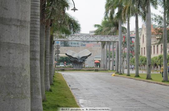 厦门大学唯美风景风光旅行人文校园学校路摄影旅游摄影