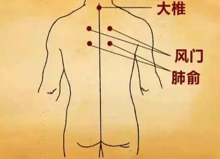 报春晖穴位大讲堂:感冒特效穴位解析
