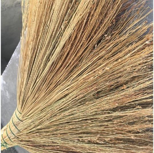 扫帚家用扫帚农村金丝高粱苗手工制作老式扫把室内清洁苕帚不沾