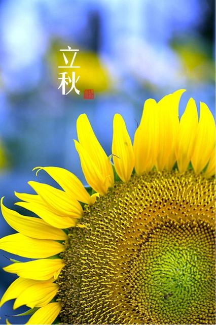 2020年早安心语简单一句话