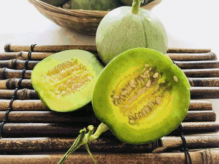中国到底哪里的甜瓜最好吃?