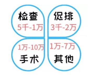 试管的价格一般多少钱？