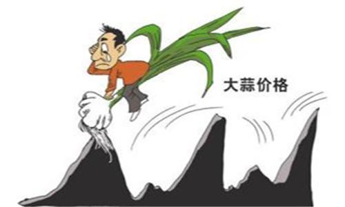 大蒜涨价了,经营冷库生意的冷藏商也跟着发财,不仅赚冷藏费,还要赚