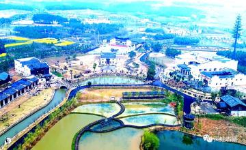 武汉市新洲盛产什么