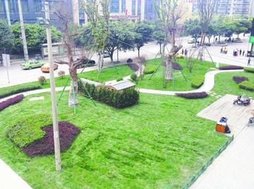 成都市区哪里凉快