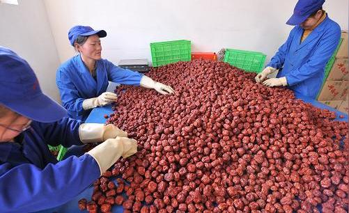 现在四线农村市场在做的盈利小生意排行榜