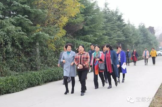 潍坊市妇联调研组来昌乐县调研巾帼电商居家创业就业工作