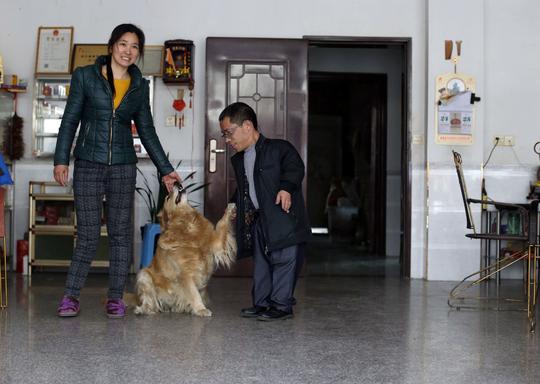 1.28米大叔和他的金毛犬王国