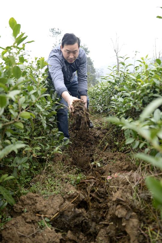 他是一个返乡创业农民工，有许多故事，包括被骗