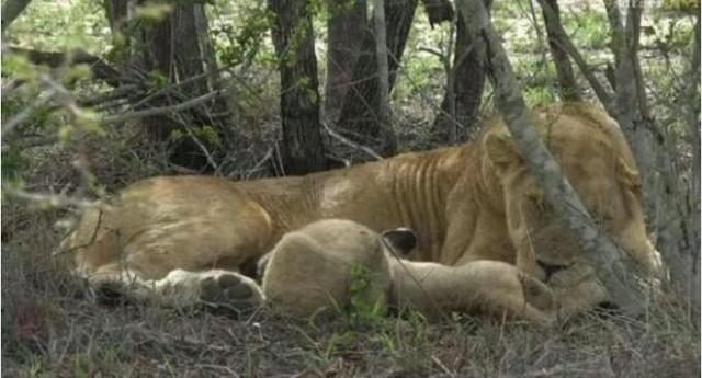 怎么让孩子睡觉更有安全感