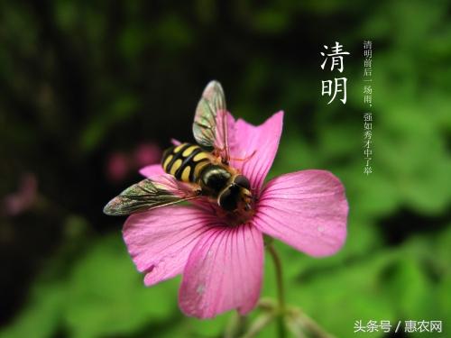 春分来了的正能量说说