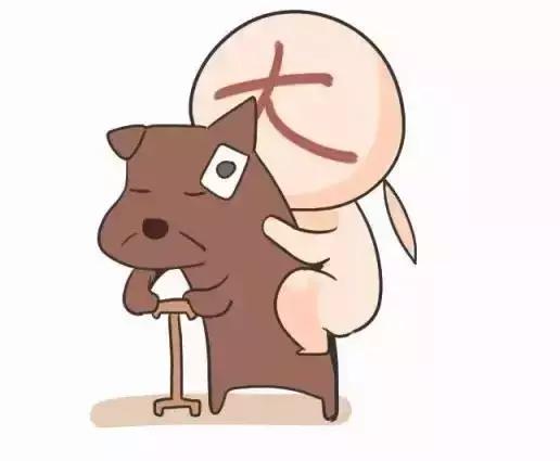 春季是否适合受孕呢