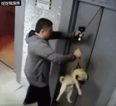 带孩子坐电梯要注意哪些事情