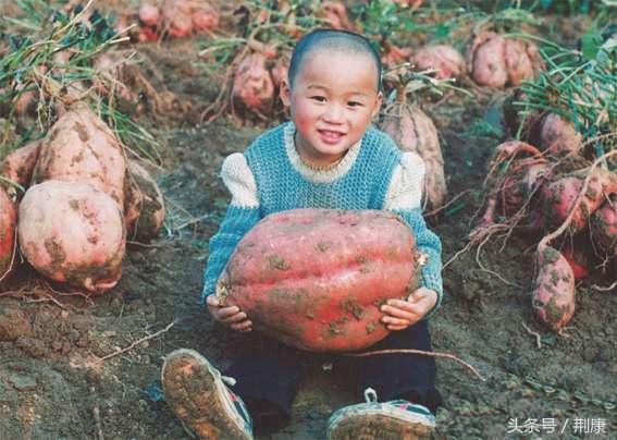 红薯有点苦孕妇吃了有什么问题吗