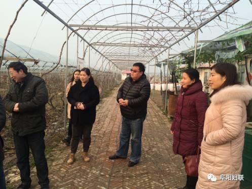 界首市妇联高度重视妇女创业扶持专项资金项目库建立工作
