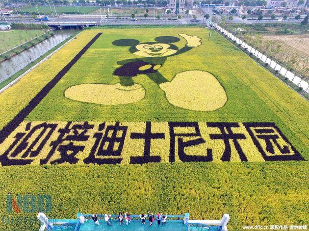 上海迪士尼乐园票价上调:最高769元