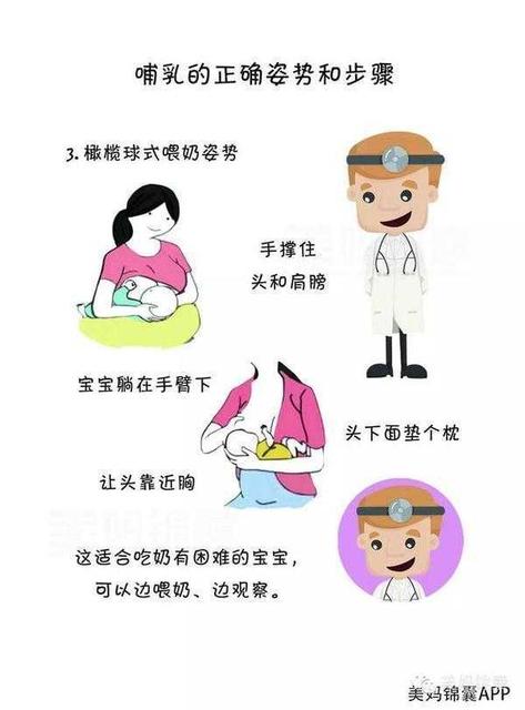 喂奶的正确时间规律