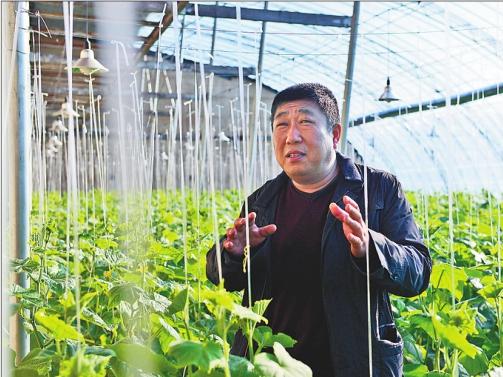 双鸭山市调结构特色频现“双创”释放新动能