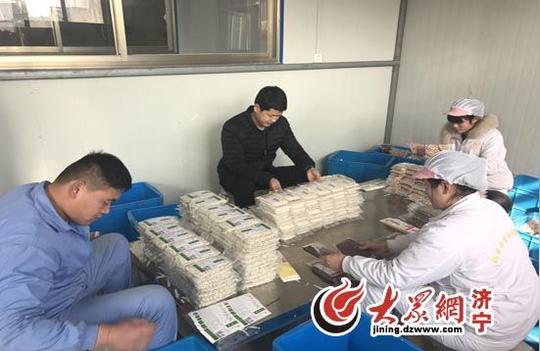 80后鱼台青年李小刚：“小刚模式”背后的创业情怀