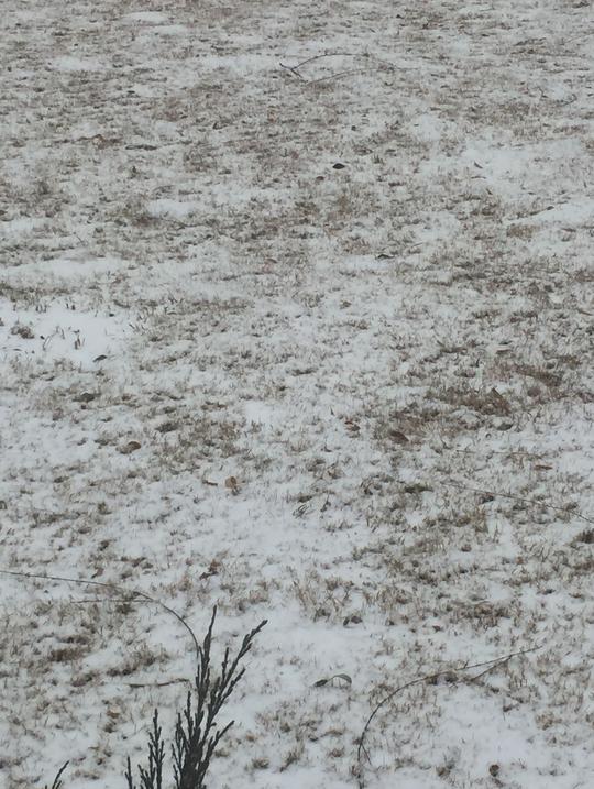 北京只是下了一场雪