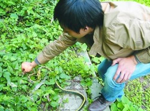 小时候在农村常做的“赚钱事儿”，你做过几种