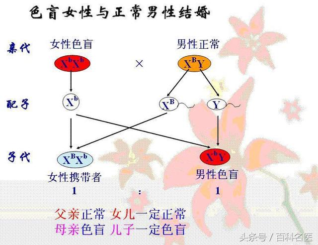 近视的人智商更高吗?