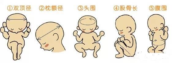 怀孕前口腔检查的目的是什么