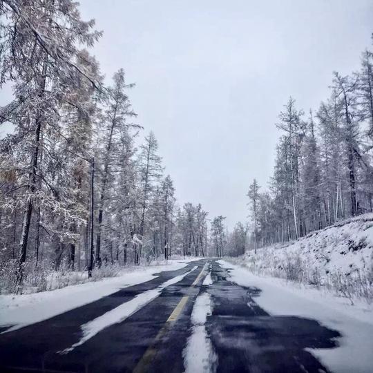 有一天北疆的雪飘进了我的心里