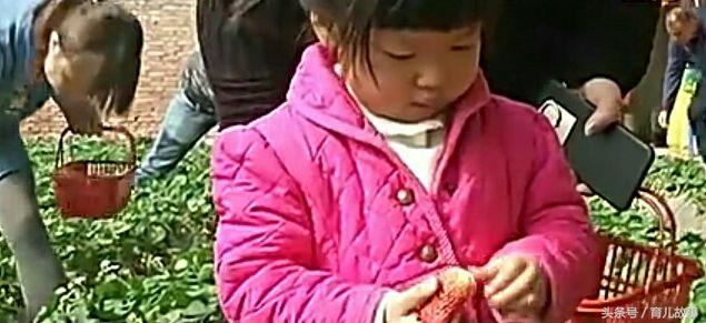 吃草莓会感染诺如病毒吗