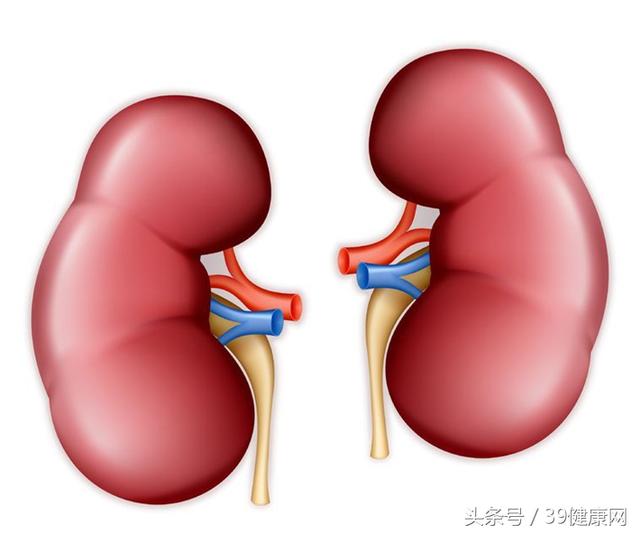 孕晚期腰酸是要生了吗