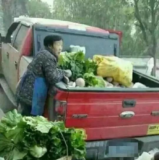 农民开豪车上集市卖菜，路过的行人却都在问价车子