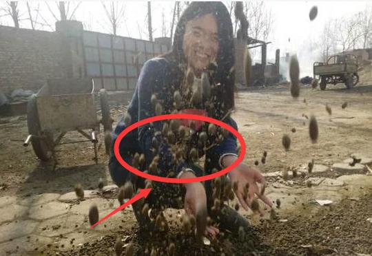 农民姑娘回乡下创业致富，这样的踏实能干的姑娘你喜欢吗？