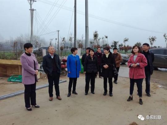 阜阳市妇女创业扶持资金项目专家评审组到界首市实地考察评审