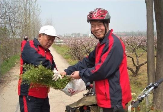大姐菜市场摆摊卖菜，但是野草买的比菜好，因其有特殊功效