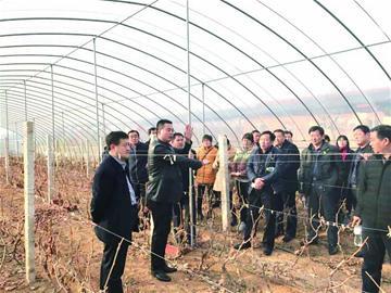 青岛培养新型职业农民越来越多年轻人回村创业