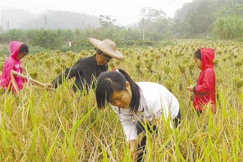 农村即将消失的职业，曾经很挣钱，现在农民都不愿意再干了