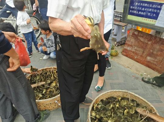 农村的兄弟挑了一担货在城市街头卖，生意惨淡，几乎没人买