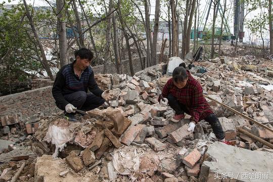 农民工日淘旧砖3000块赚100元双手伤痕不忍目睹