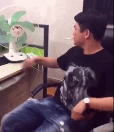 对方不想和你说话并向你扔了一只狗