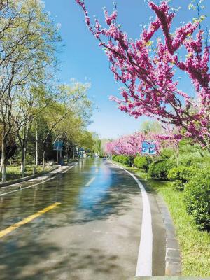 石家庄市哪个公园花开了的长尾关键词有什么