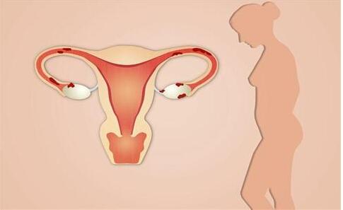 月经透露女人的生育能力