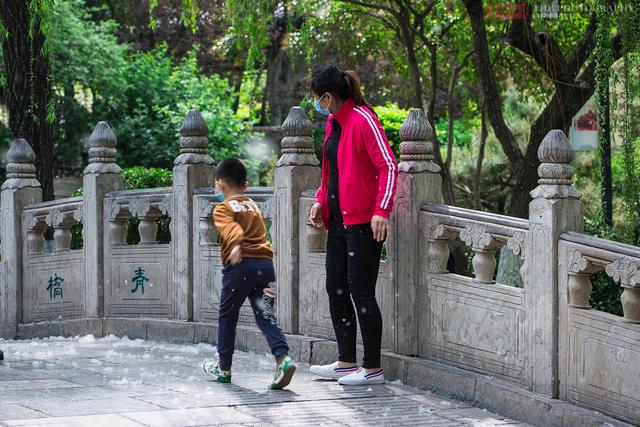 孩子预防杨柳絮过敏的方法