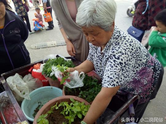 这个农村老奶奶一把年纪还蹬着三轮车卖辣椒苗，农村老人不容易