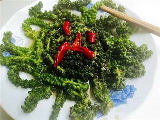 农村树上挂着的”绿毛虫“，被称“长寿菜”，防癌抗癌大受欢迎